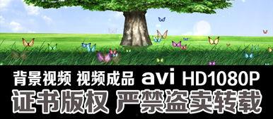 大树爆料视频大全下载  第1张