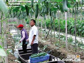 娱乐吃瓜村,揭秘娱乐圈背后的那些事儿 第3张 娱乐吃瓜村,揭秘娱乐圈背后的那些事儿 第3张