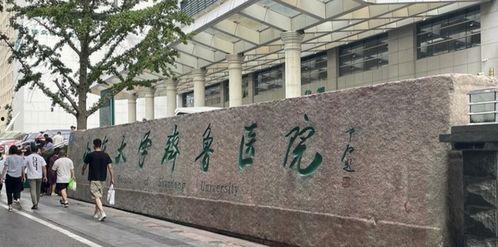 齐鲁医学院爆料事件最新,真相与争议交织的教育丑闻揭露 第1张 齐鲁医学院爆料事件最新,真相与争议交织的教育丑闻揭露 第1张